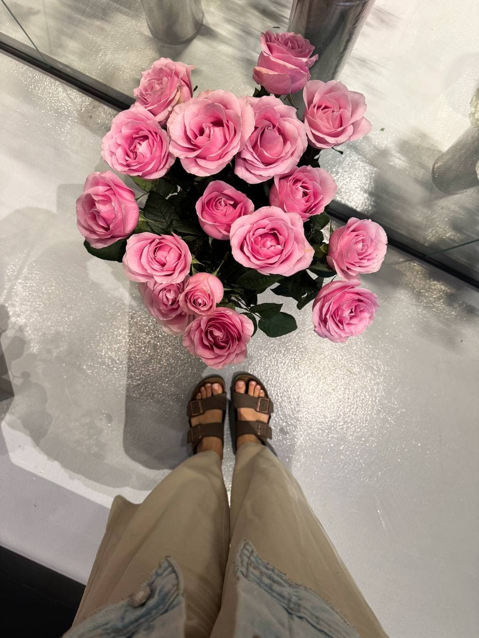 کیمیا — عضو خانوادهی هستی